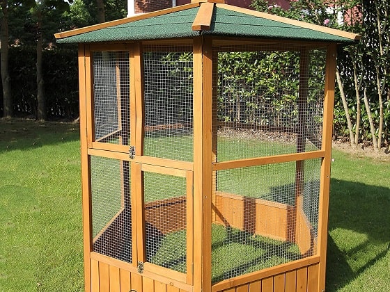 Wooden structure outdoor bird aviary