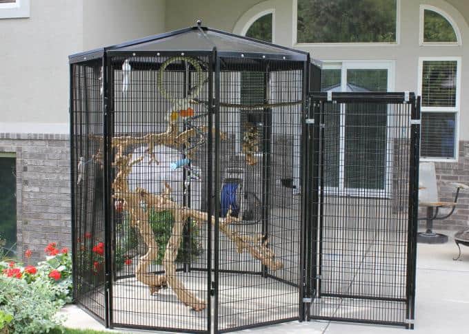 Customised metal outdoor aviary