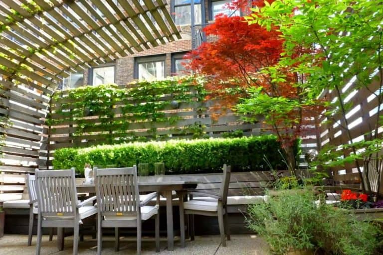 30 Garden Privacy Ideas: How To Make Your Garden Private (With Pics)