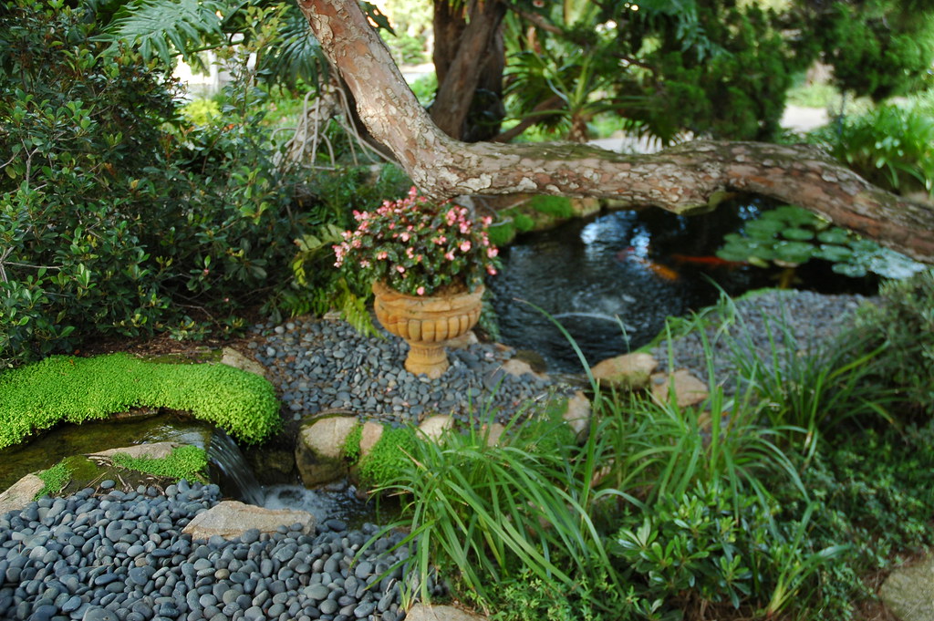 Mini gravel garden ponds