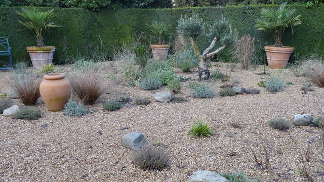 Mediterranean gravel garden