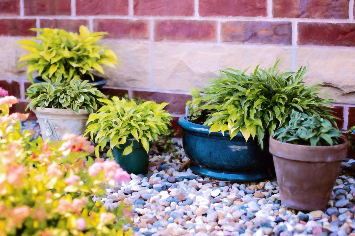 Small pots on gravel