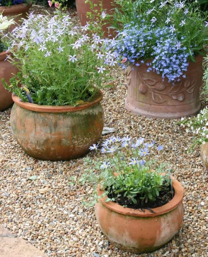 35 Gravel Garden Ideas From The (With Pics) Blog BillyOh