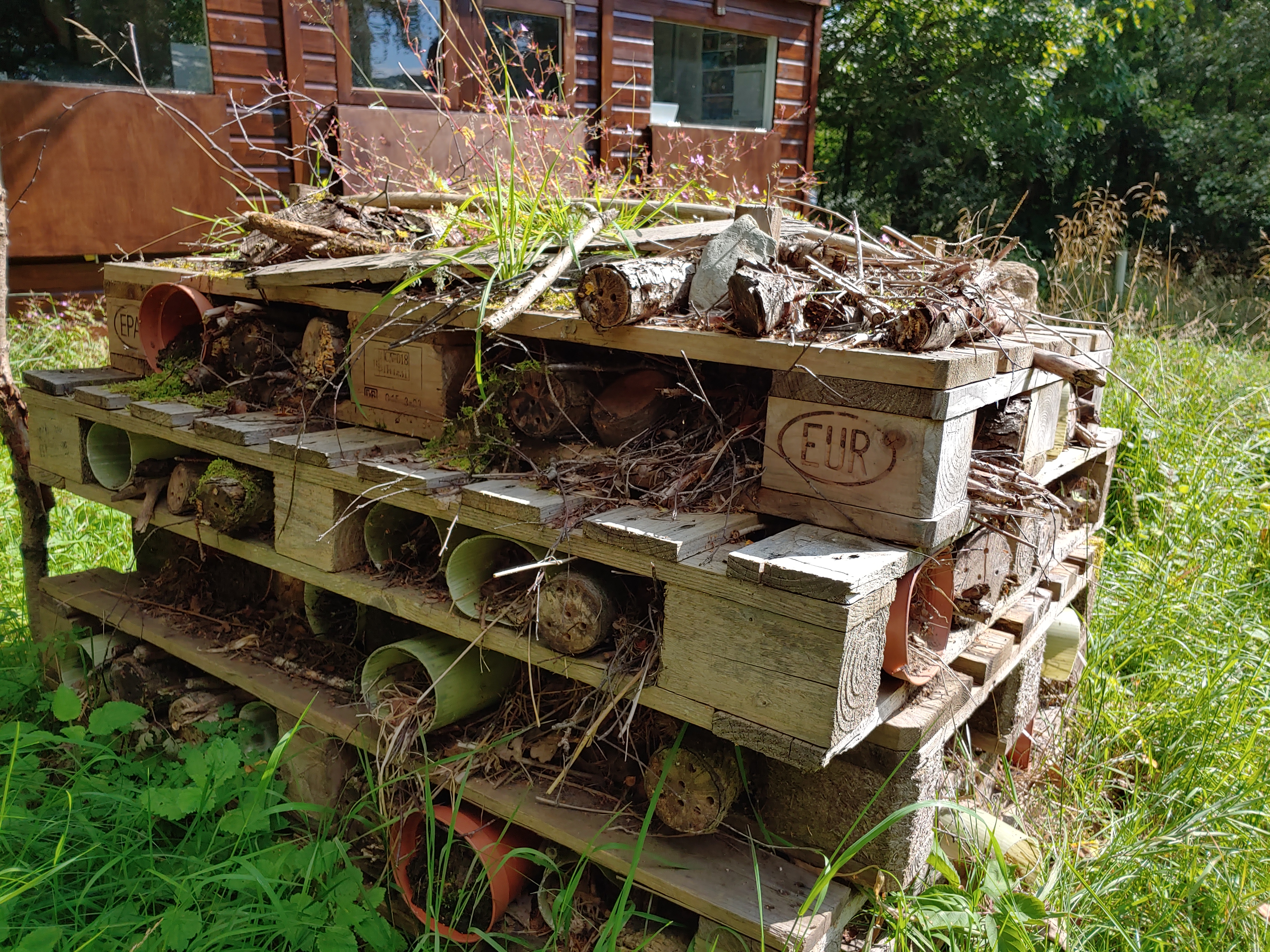 4-tier flat pallet bug hotel