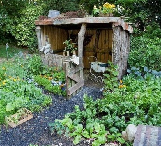 Small garden shed