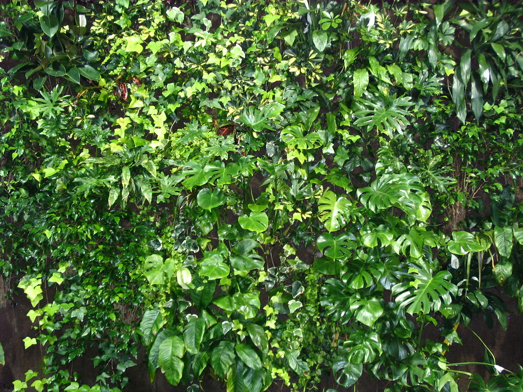 Living wall