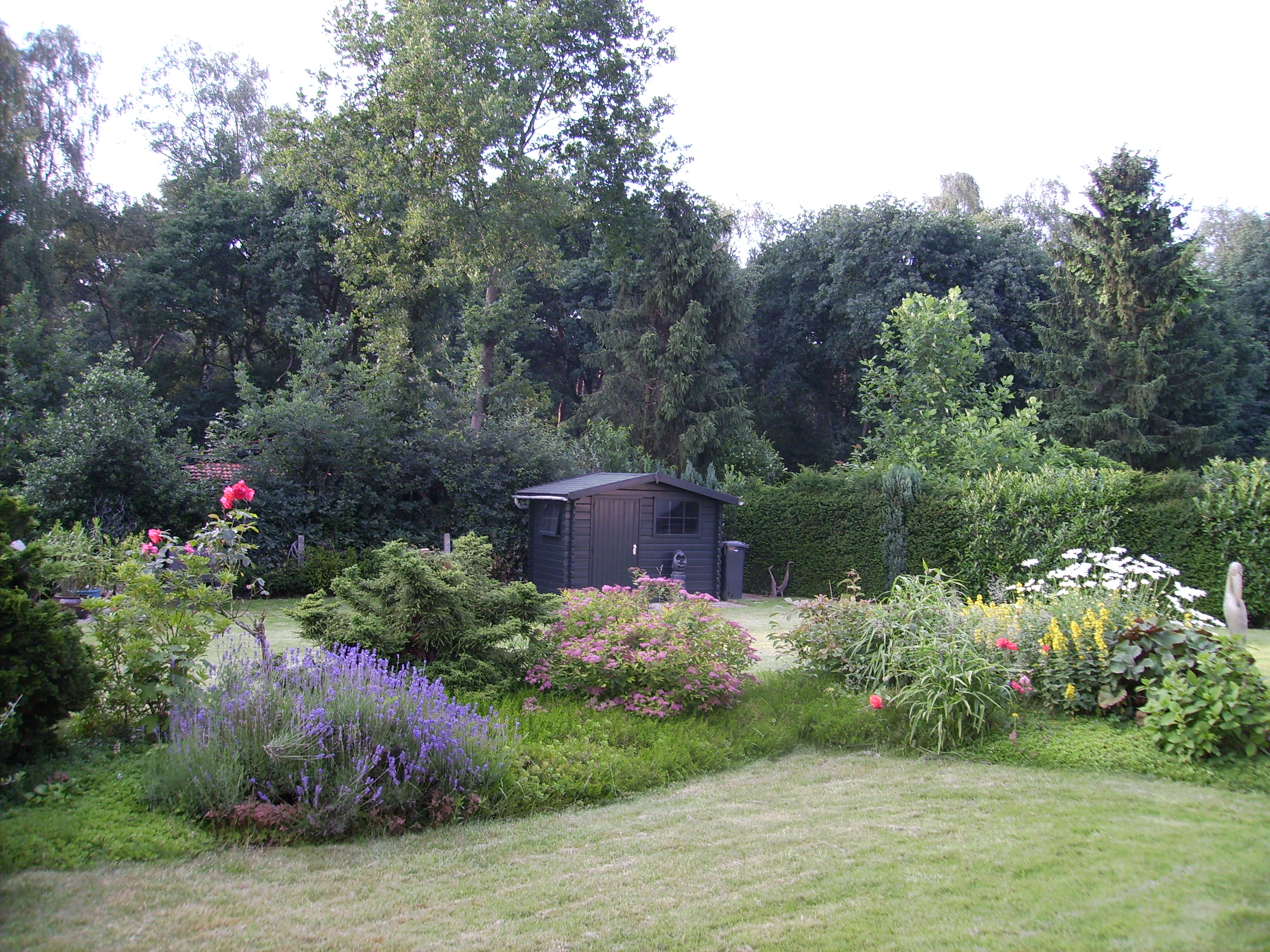 Open simple garden with cottage vibe