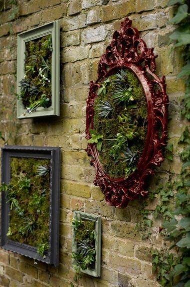 Picture frames in garden