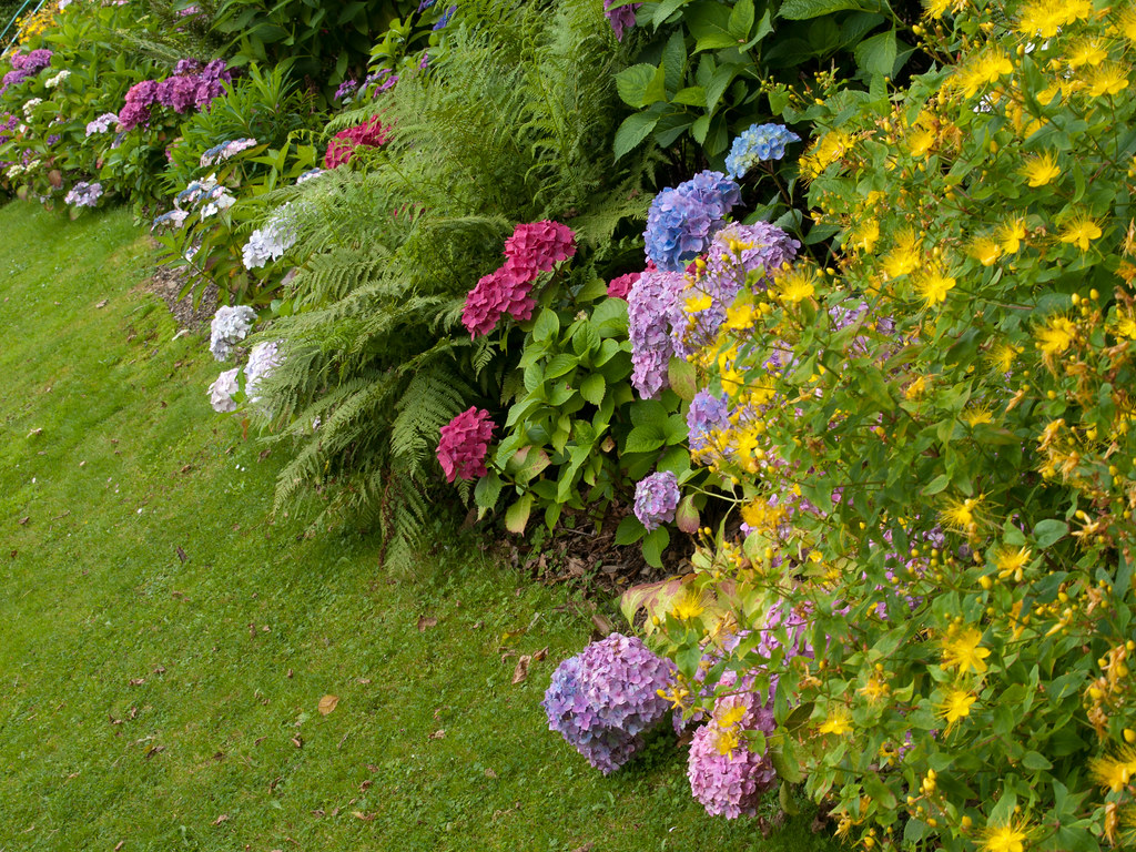 Side flower bed