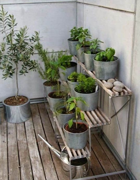 Herb garden on corner