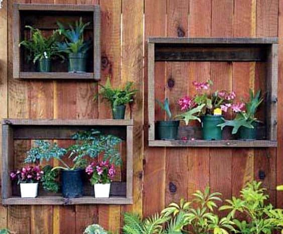 Wood lined plant frames