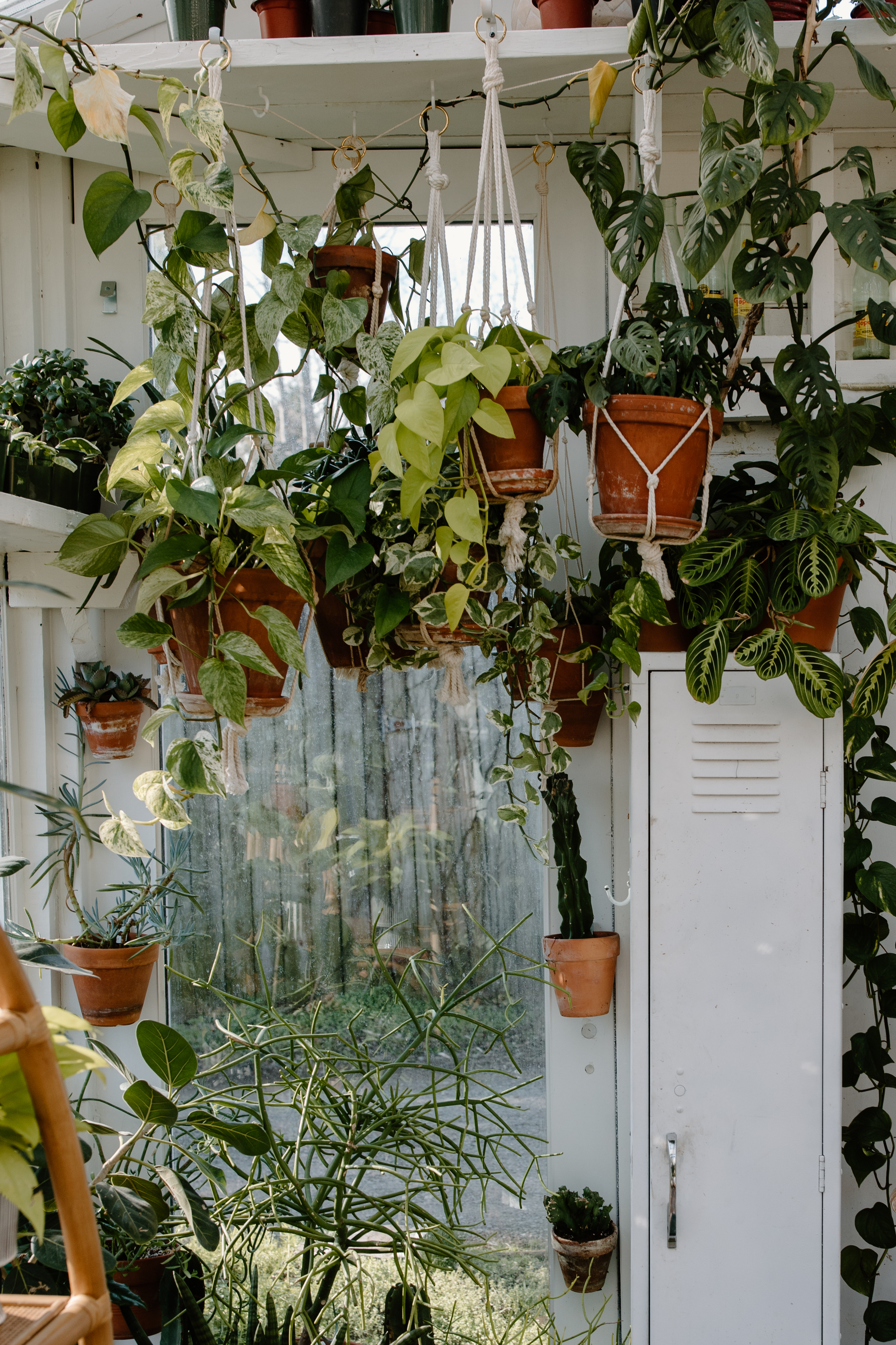 Balcony hanging terracotta pots