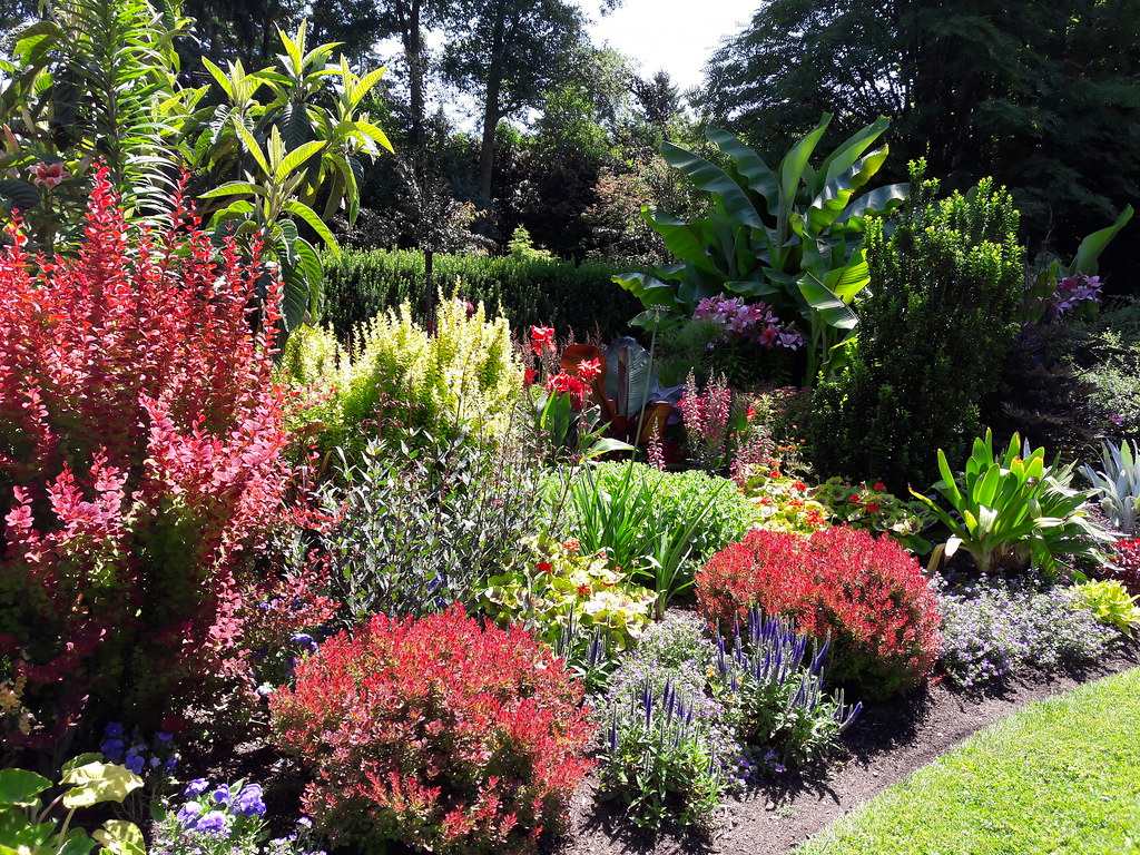 Lush corner garden landscape