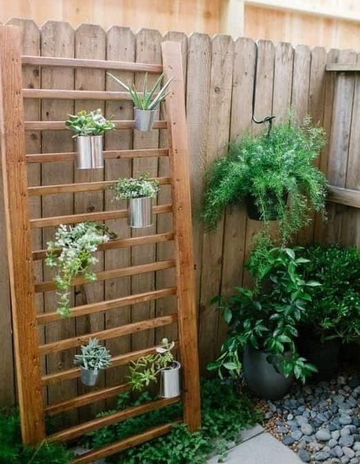 A mini vertical garden