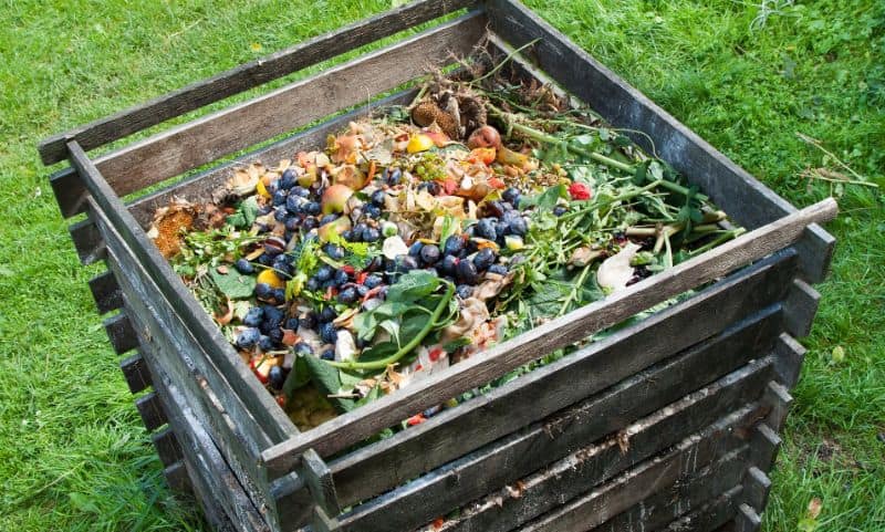 A garden compost heap