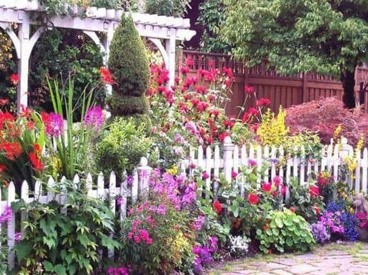English cottage garden with billowing beds of beautiful, coloured flowers