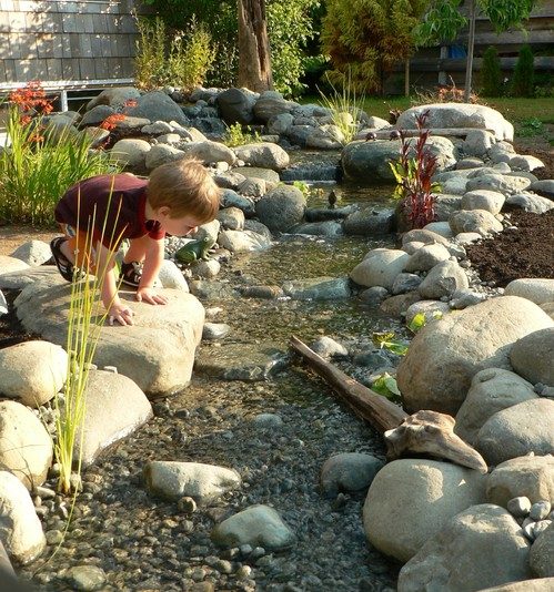A kid staring at a running water, burbling brook in their yard