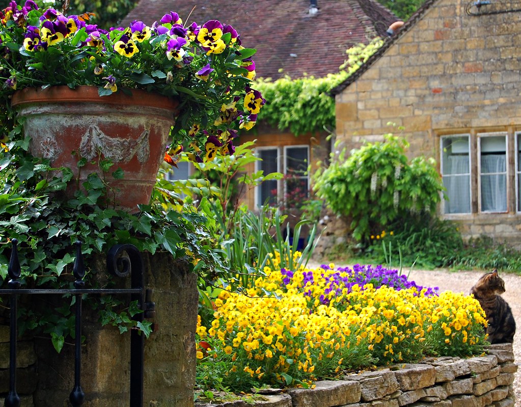 The resident cat presides over the entrance to its front garden