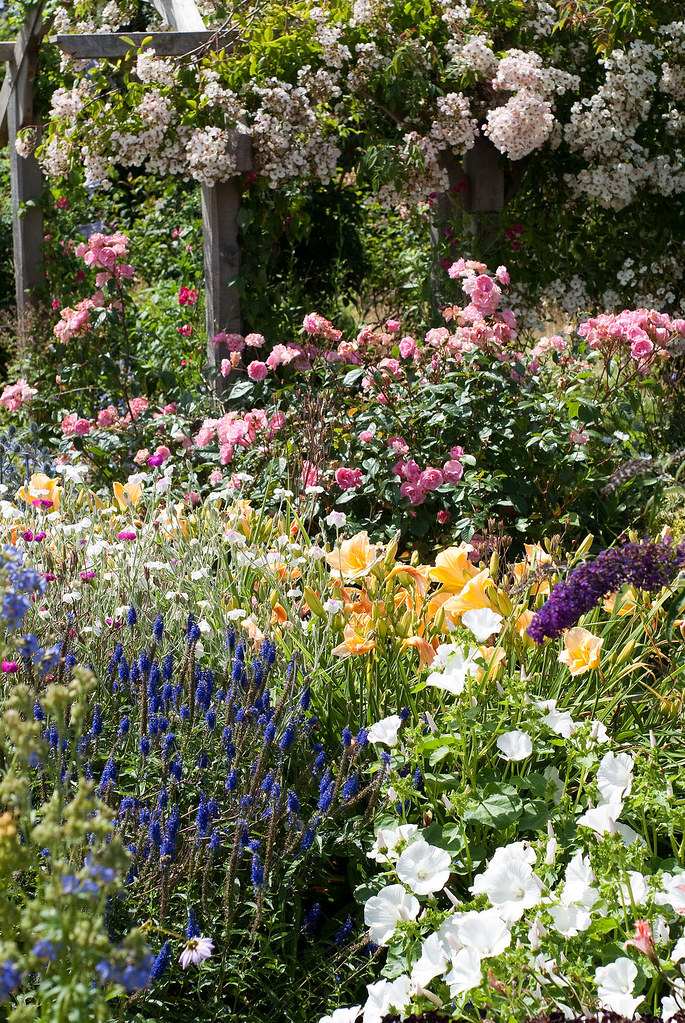 Rosemoor cottage garden