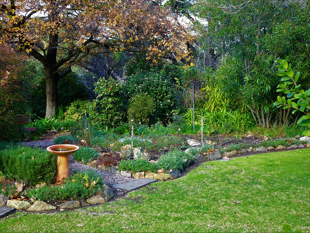 Bird bath and garden beds beneath a giant English oak tree in the Gamble Cottage Garden