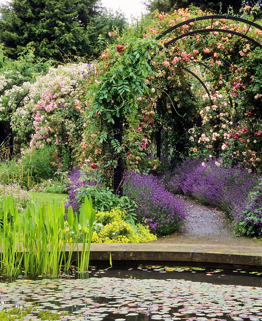 ‘The Gardens of the Rose’, Hertfordshire, England