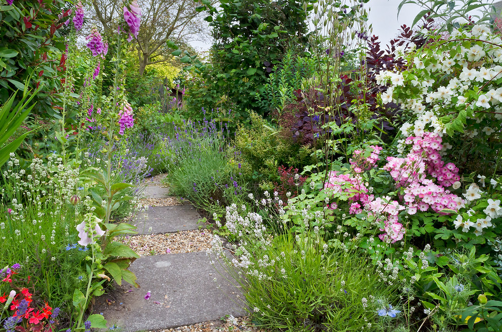 Cottage Garden Flower Border in Suffolk, UK