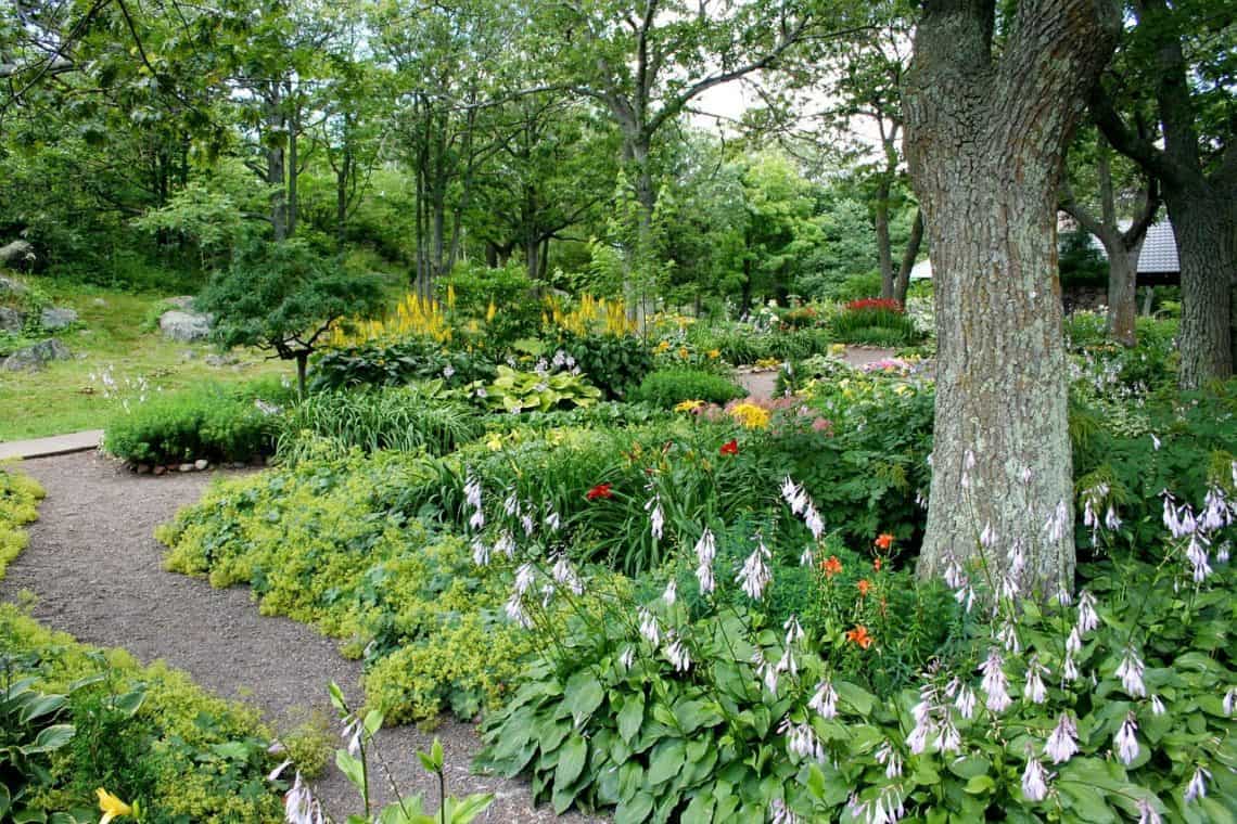 A large garden with a wildlife-friendly environment