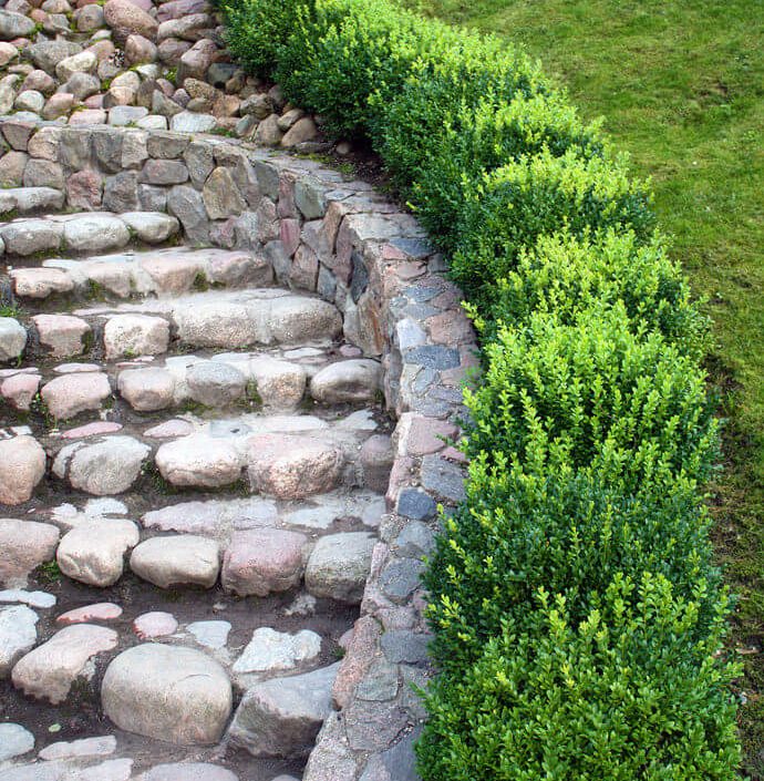 Boxwood hedges and large pebbled pathway
