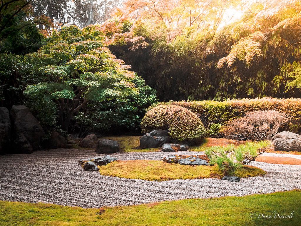 Japanese Zen garden