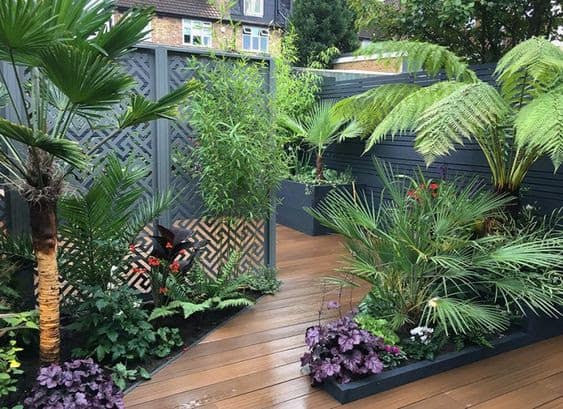 backyard tropical garden design backyard tropical garden design