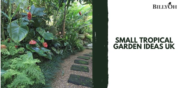 Small Tropical Garden Ideas UK