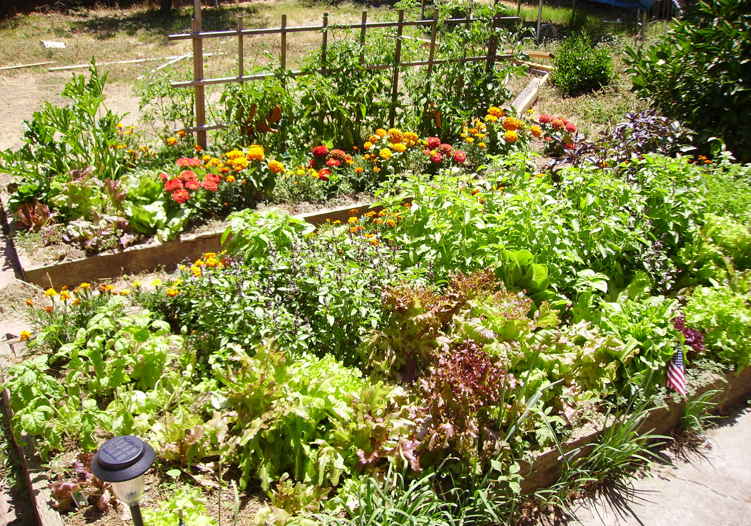 Raised section garden beds