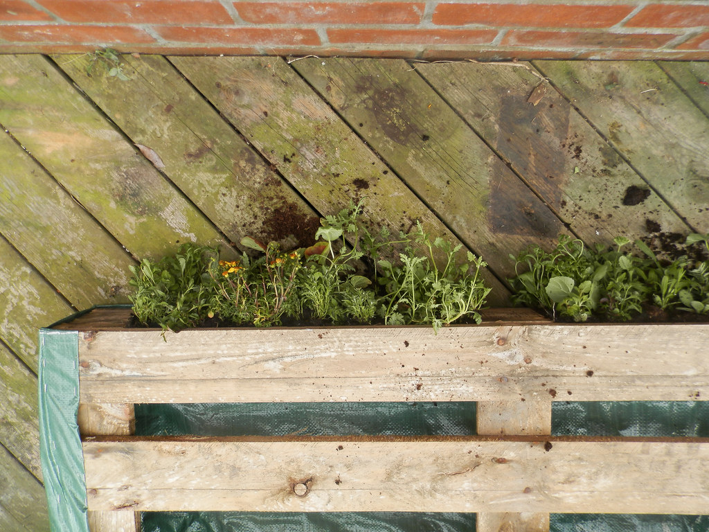 Pallet herb garden