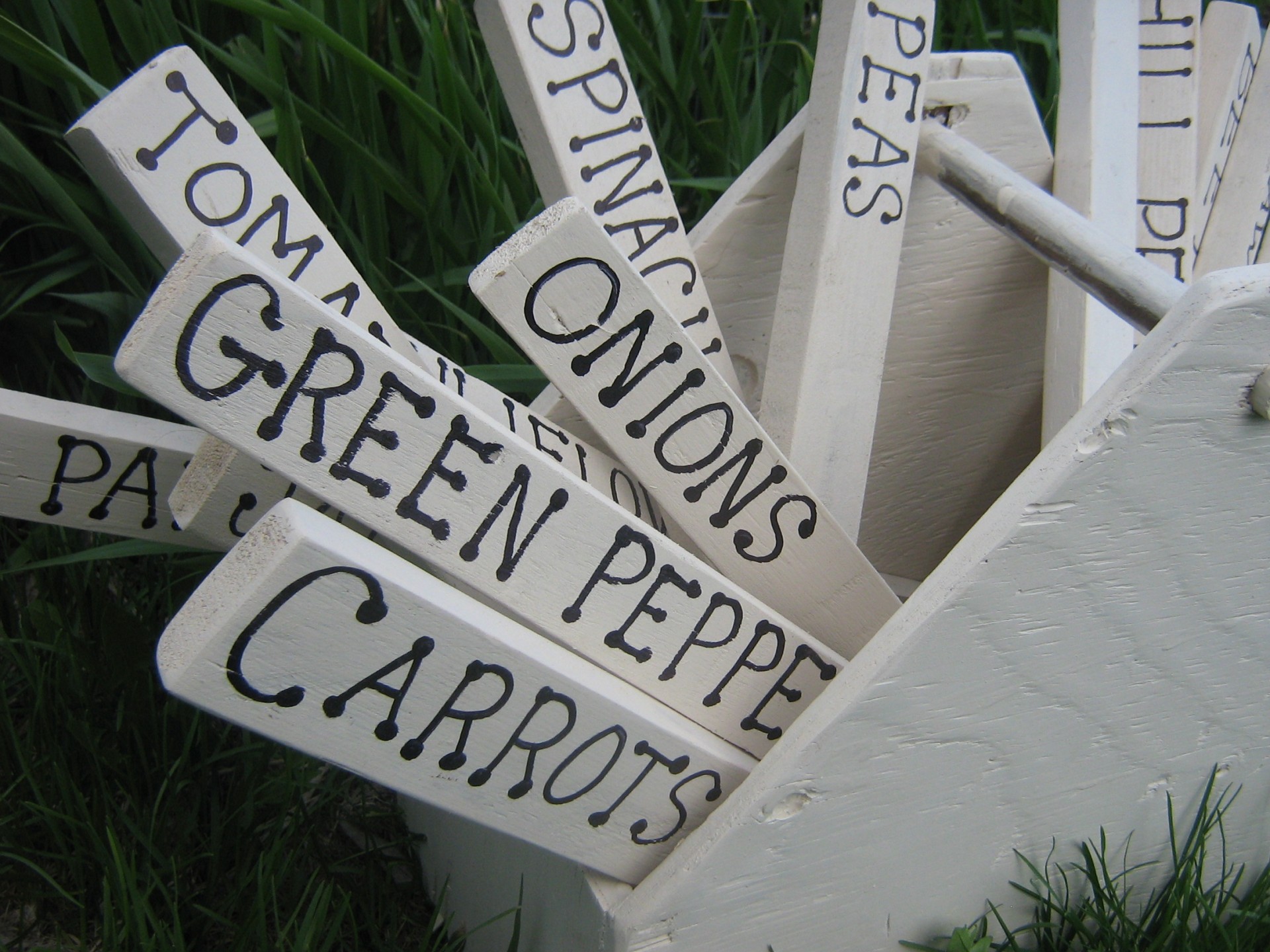 DIY vegetable garden markers