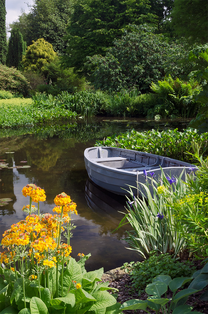 Pond with water-loving plants