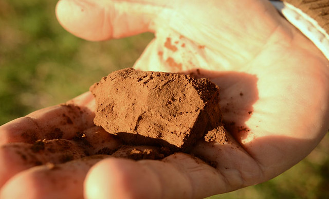 A person holding a clay soil