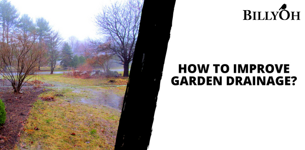 How to Improve Garden Drainage?