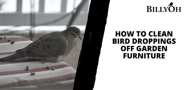 How to Clean Bird Droppings off Garden Furniture