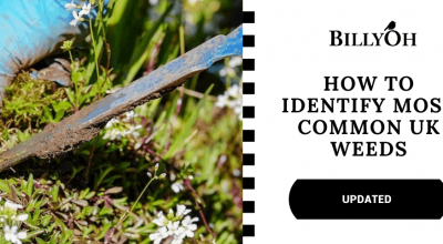 How to identify weeds UK with trowel pulling weeds out